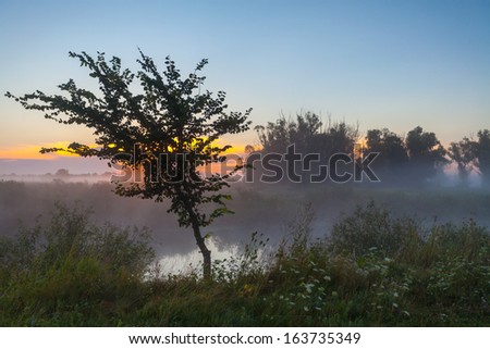 summer fog and the beautiful morning sun in a landscape