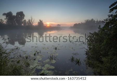 summer fog and the beautiful morning sun in a landscape
