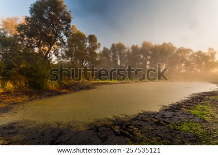 Beautiful mystical landscape in yellow orange and red colors at sunrise