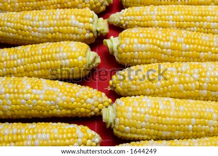 Corn cooling after being boiled for freezer storage