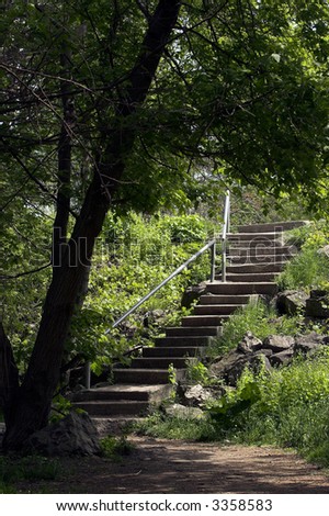 Concrete stairway with steel handrail and the end of a forest trail.