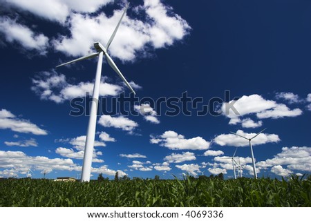 Electricity generating windmills in a corn field.