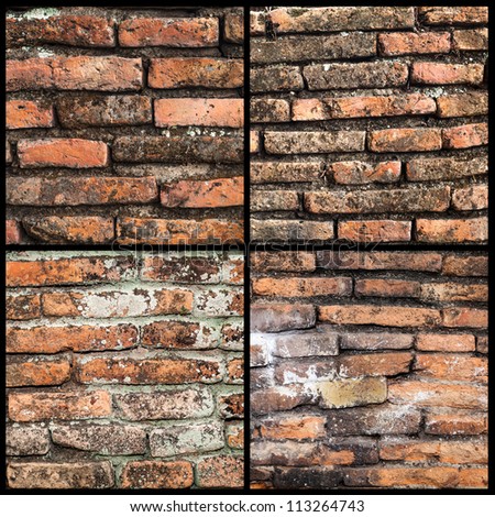 brick wall covered with mold white