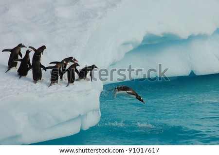 Penguins playing on Iceberg