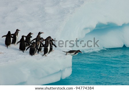 Penguins diving off iceberg
