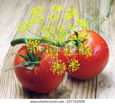 Tomato and dill with water drops on wooden table