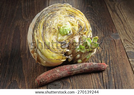 Rotten vegetables on dark wooden background