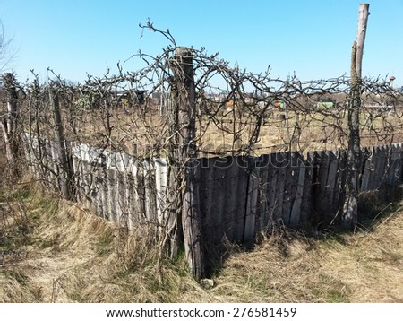Old fence in the early spring on a sunny day