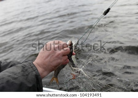The fisherman is holding fish on a river