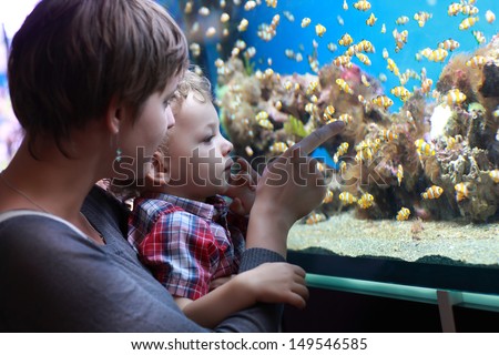 The Family Has Holiday At An Aquarium