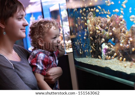 Mother and son are watching the fishes in aquarium