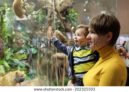 Family looking at wild animals in a museum
