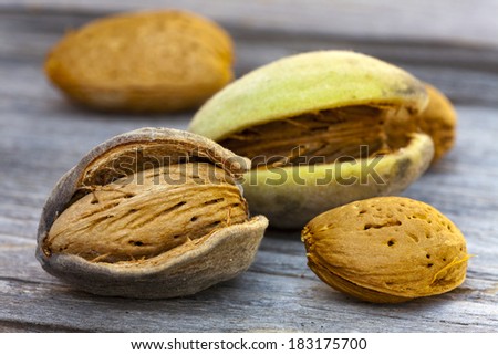 Freshly harvested Almonds with and unshelled on a wooden table