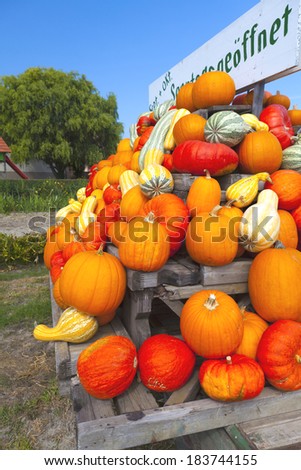 Many colorful ornamental pumpkins stacked on a wagon in front of blue sky