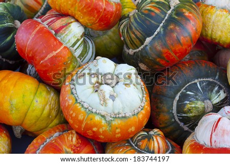 Close-up of many different acorn squash