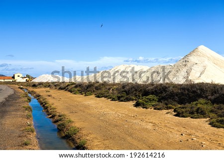 View of many salt mountains under blue skies at a Saline Gruissan in the South of France