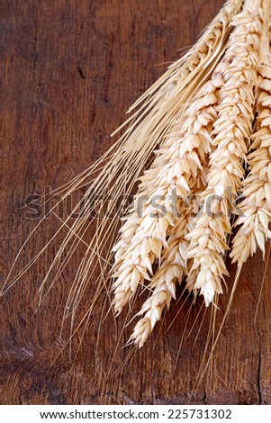 Close-up view of dried cereal ears on old wooden board