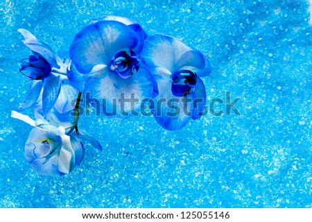 Blue orchid flower at blue background. Background made of blue bath salt crystals.