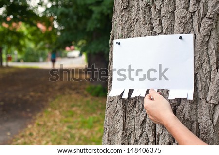 Hand picking a part of blank announcement pinned on a tree.