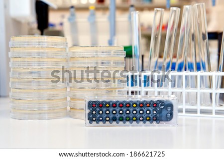 bacterial identification test in microbiological laboratory. Agar plate and tubes in rack at background.
