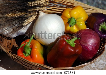 White Onion and Fall Vegetables