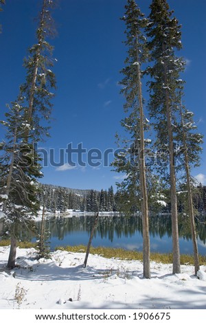 Evergreens on the snowy shore of a blue mountain lake
