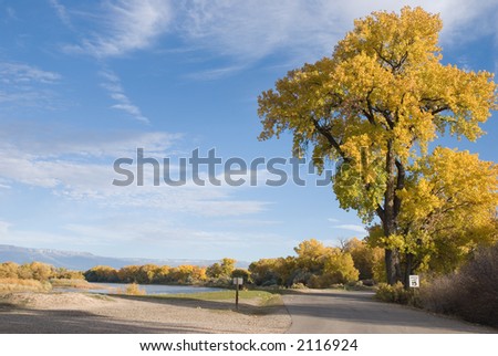 Road in Connected Lakes, by the Colorado River in Grand Junction, Colorado