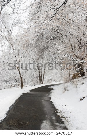 Black asphalt path through Duck Pond park in Ridges neighborhood, Grand Junction, Colorado after a winter storm. Bare branches of deciduous trees covered with snow.