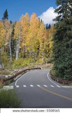 Forest service road curves past golden aspens at Mesa Lakes on the Grand Mesa, Colorado