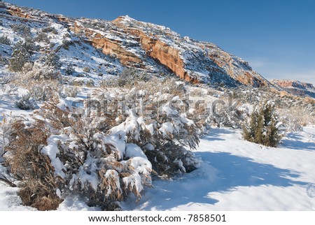 Fresh snow on the tilted red sandstone beds of the Colorado National Monument near Grand JUnction, Colorado on a sunny day in December