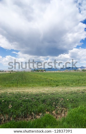 Afternoon in the irrigated countryside near Grand Junction, Colorado