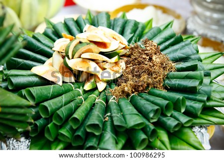 Areca Nut Leaf