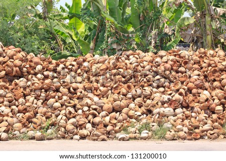Pile of discarded coconut husk in coconut farm