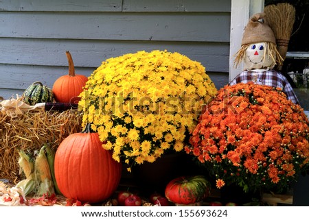Arrangement from Flowers, Bale of Hay, Pumpkin, Squashes, Apples, Maize, Scarecrow and dry leaves in front of Old Barn as decoration for Thanksgiving Day.