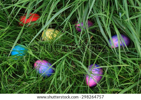 Dyed, (painted, colored) eggs hidden in the grass for children to look and find them ? Easter Eggs Hunting.