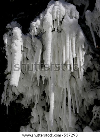 Frozen waterfall mist. Mist from waterfall frozen on the tree branches in cold winter weather.
