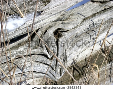 Wooden Knot Abstract.  Wooden knot over the old piece of wooden fence-post. The blurs are used to take attention to the knot.