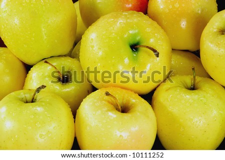 Yellow apples. Yellow apples covered with water drops on market fro sell.