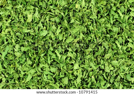 Dried Parsley Flakes - Background. Background - Ingredient for food Dried Parsley flakes  ideal for prints over packing or advertisement materials..