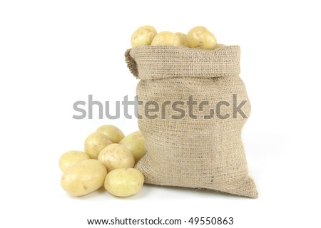 White fresh mini potatoes - picture horizontal orientation. On pile and in burlap bag fresh mini white potatoes - still life picture.