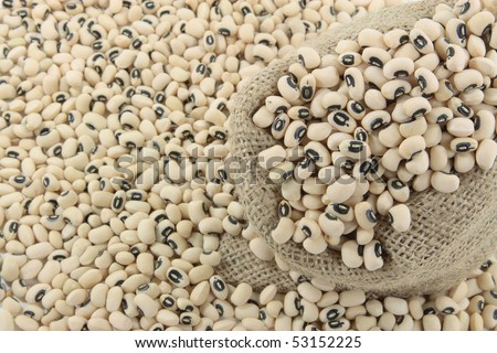 Black Eyed Peas - close view. Picture of raw Black Eyed Peas (beans) in burlap sack close view and on pile blurred.