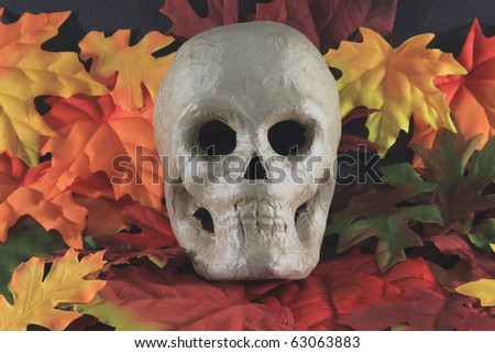 Picture of typical props for the popular North American Holiday Halloween on October 31.