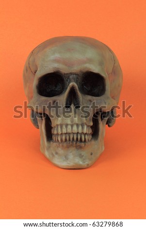 Picture of prop for the popular North American Holiday Halloween. Human Scull, over orange, background - vertical orientation.