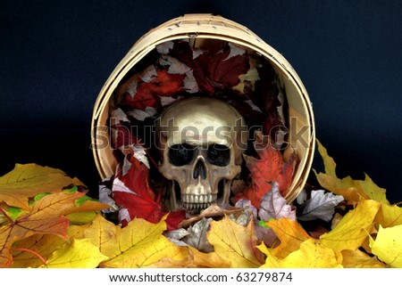 Picture of props for the popular North American Holiday Halloween. Human Scull in between dry fall colored leaves inside a wooden bushel, over black background.