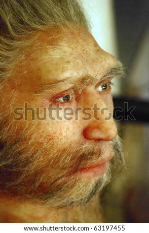 wax face of  primitive person in a science museum in barcelona