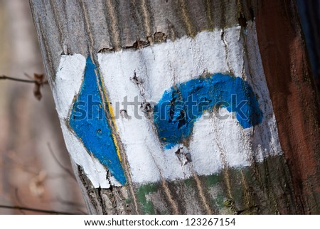 Blue hiking sign on a tree