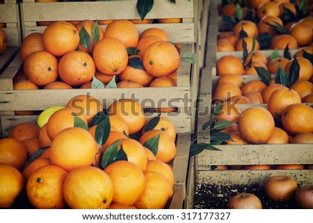 Fresh oranges in the wooden boxes. Harvest theme.