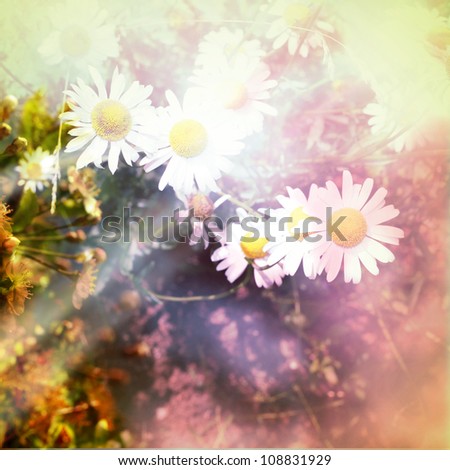 grunge flower background