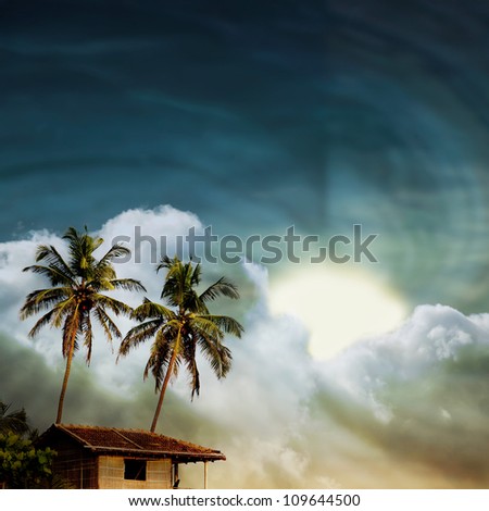 grunge palm background - stock photo