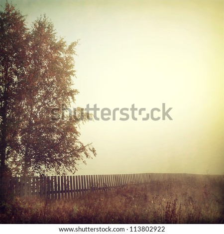 vintage nature background vintage nature background